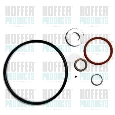 HOF9585, Repair Kit, injection nozzle, HOFFER, 0445110284*, 391990060, 83.1367, 9585, 8029585