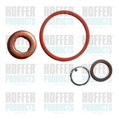 Repair Kit, injection nozzle - HOF9586 HOFFER - 0445110342*, 391990061, 83.1368