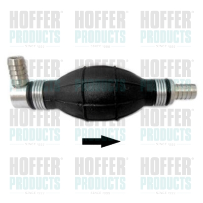 HOF8029591, Injection System, HOFFER, 391950014, 8029591, 83.1373, 9591
