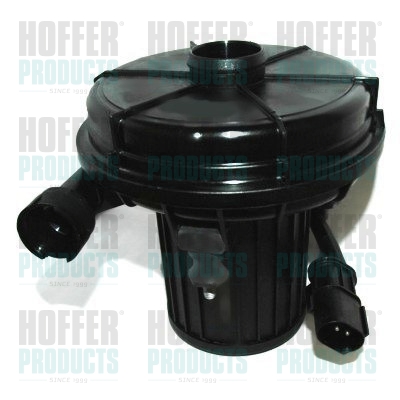 Secondary Air Pump - HOF8029602 HOFFER - 7506210, 7571589, 11727571589