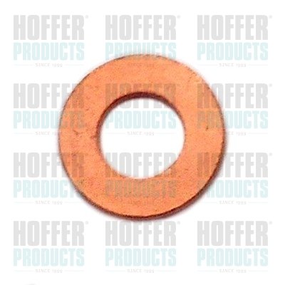Seal Ring, nozzle holder - HOF8029711 HOFFER - 1118410, 198157, YS4Q9E568AA