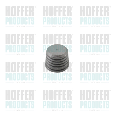 Sealing-/Protection Plugs - HOF80298355 HOFFER - 0445010259*, 391230245, 80298355