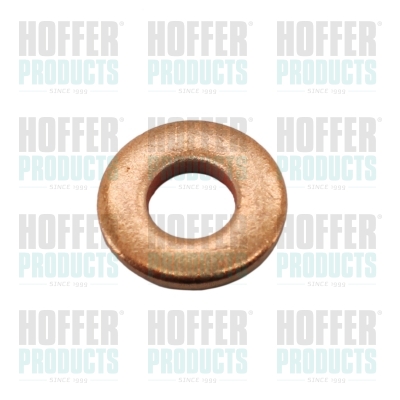 HOF80298396, Seal Ring, injector, HOFFER, 391230273, 80298396, 98396