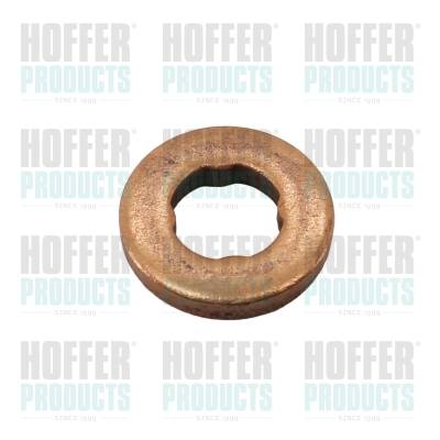 HOF80298404, Seal Ring, injector, HOFFER, 391230277, 80298404, 98404