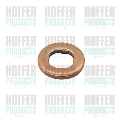 HOF80298405, Seal Ring, injector, HOFFER, 391230278, 80298405, 98405