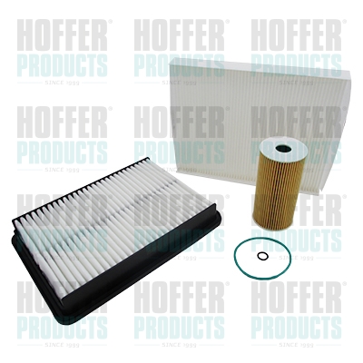 Filter Set - HOFFKHYD012 HOFFER - 263202F100*, 281132P300*, 263202F000*
