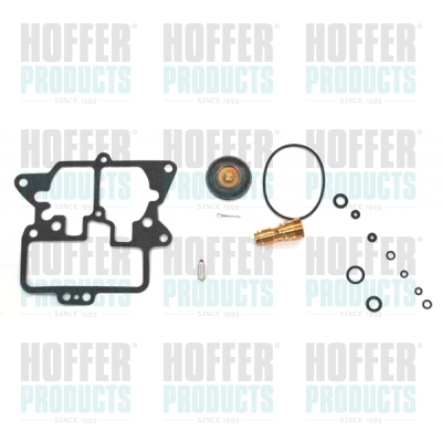 HOFN750, Reparatursatz, Vergaser, HOFFER, 15671, N750, 230930041, HN750
