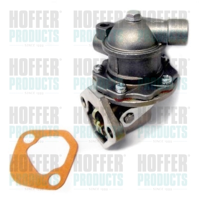 Fuel Pump - HOFHPON140 HOFFER - 2156118, 30424, 1702/5