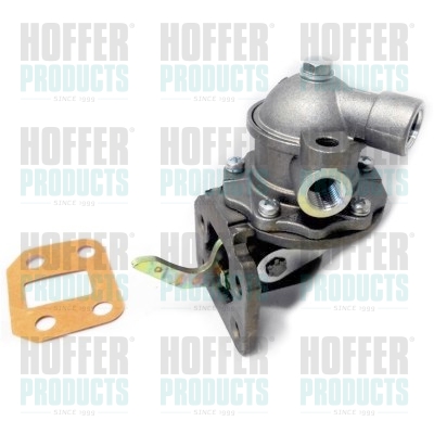 Fuel Pump - HOFHPON209 HOFFER - 17/401800, 4222106M91, ULPK0034