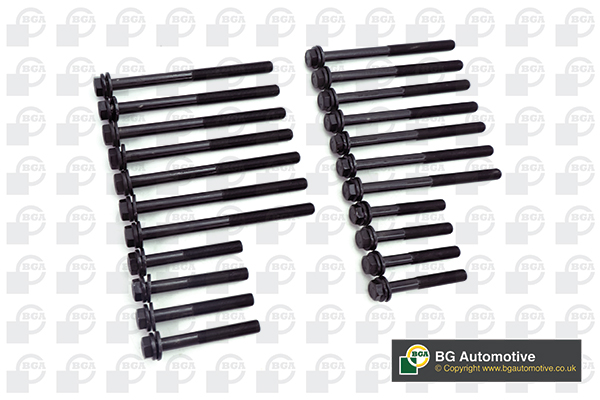 Cylinder Head Bolt Set - BK4307 BGA - 4828150(x14), 99442951(x8), 14818 ...