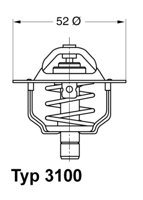 Thermostat, coolant - 3100.88D BorgWarner (Wahler) - 6994257, 95WM8575AA, 18973