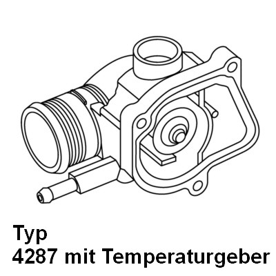 4287.92D, Termostat, chladivo, Nedodává se, BorgWarner (Wahler), TI2892