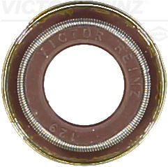 Seal Ring, valve stem - 70-38487-00 VICTOR REINZ - 51.04902.0035, 12032200, 698.490